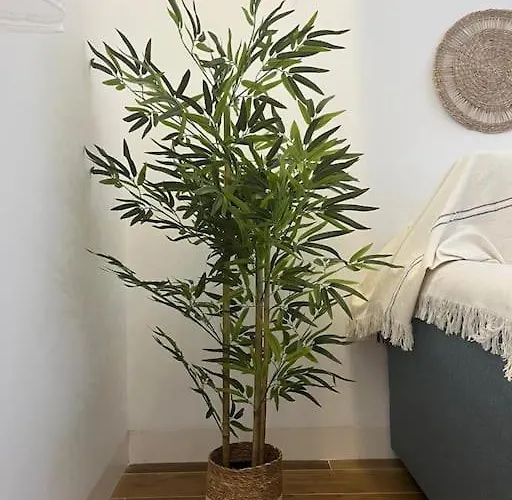 3 Soles Grupo Ac Gestion شقة كاديز