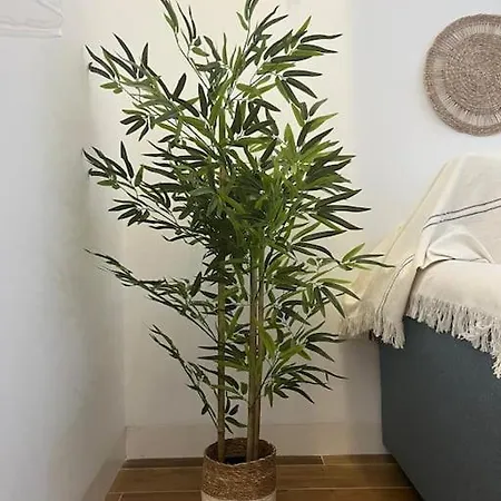 3 Soles Grupo Ac Gestion 公寓 加的斯